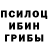 Псилоцибиновые грибы мухоморы Anna Komina