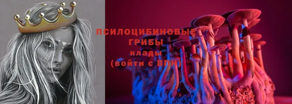mix Надым