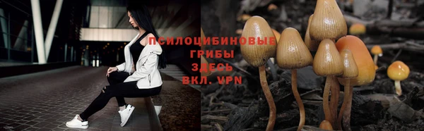 винт Навашино
