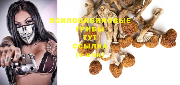 mix Надым