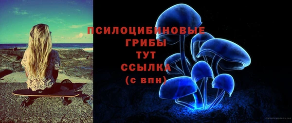 mix Надым