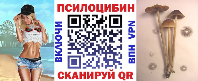 гидра маркетплейс  Сочи  Псилоцибиновые грибы MAGIC MUSHROOMS 